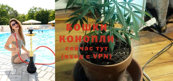 кокс Дмитров