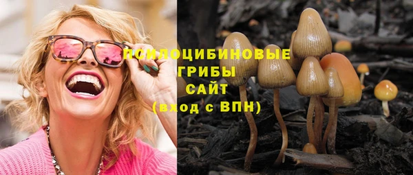 мяу мяу кристалл Дмитриев